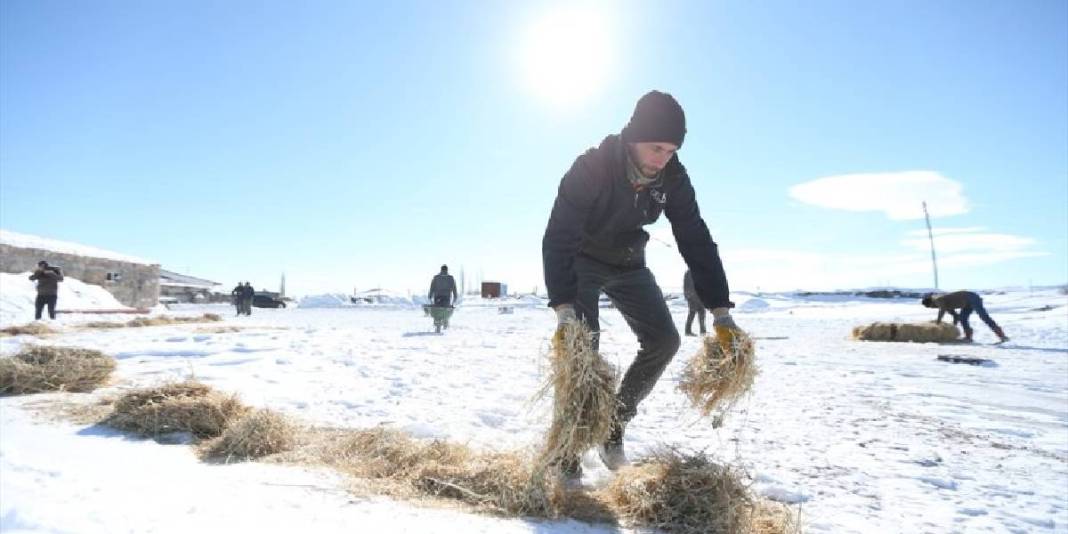 ‘Burada yapamayacaksınız’ dediler kimseyi dinlemedi! Devlet desteğini aldı, sayısı 100 olan sürüyü 7 kat büyüttü 7